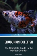 Shubunkin Goldfish: The