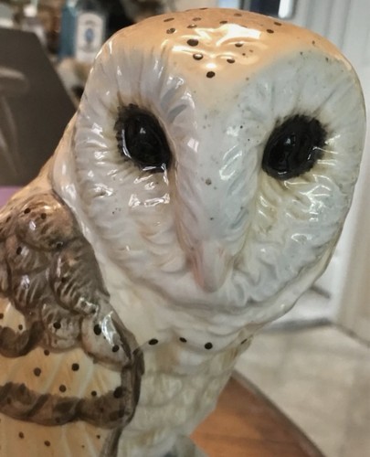 Leonardo tawny owl - owl, on