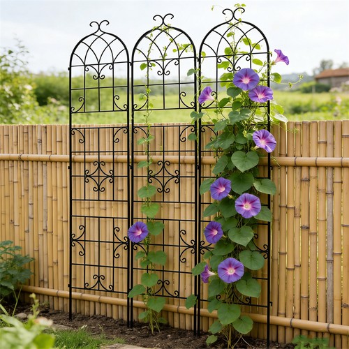 Gothic garden trellises - gothic,