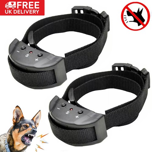 Pet dog training - pet,