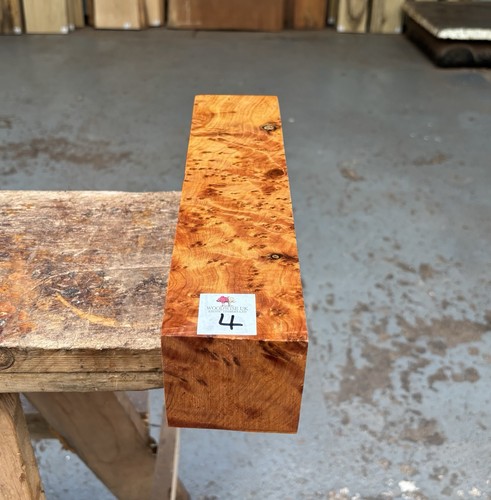 Thuya burr 3 x 12 - 1,