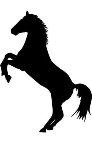 Inch rearing horse vinyl car - 6,