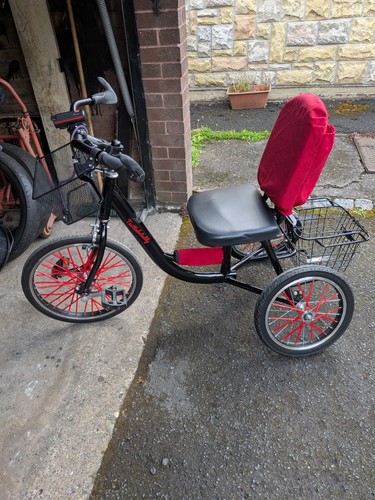 Mobility tricycle teenager - mobility, tricycle.
