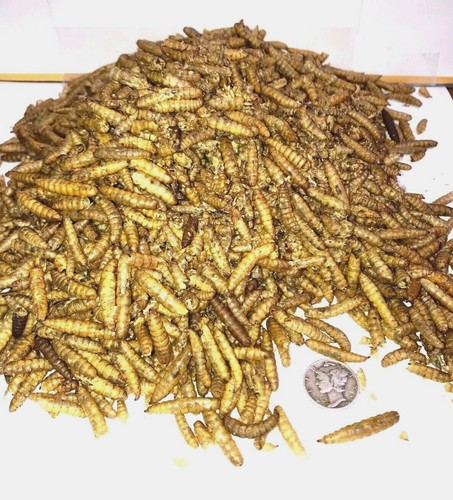 Premium sun dried - premium,