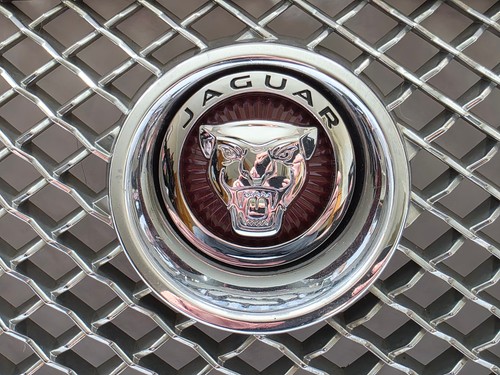 Genuine jaguar front - genuine, xf