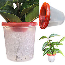 Stick Insect,Leaf Insect Cage Twig Pot Pair With Water Gel Crystals