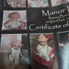 REBORN BABY DOLL KIT NEW manor