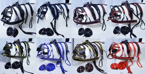 Horse nylon webbing - horse, driving