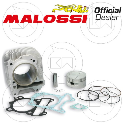 Malossi 3111393 transformation - 3111393,