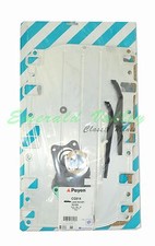 New Payen Brand Head Set Rover