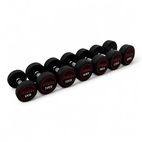 Round dumbbells cast iron - cast,