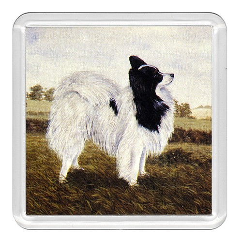 Papillon dog acrylic coaster - acrylic,