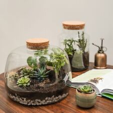 DIY Terrarium Kit with Recycled Glass - Create Your Indoor Ecosystem