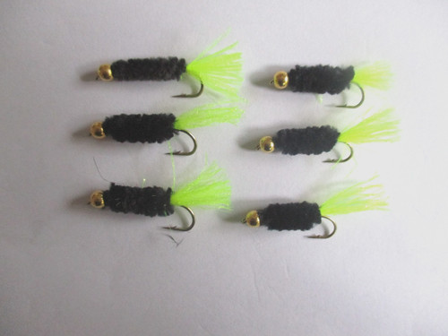 Black goldhead trout - x,
