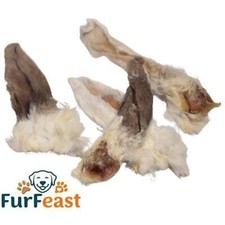 RABBIT EARS Short with Hair