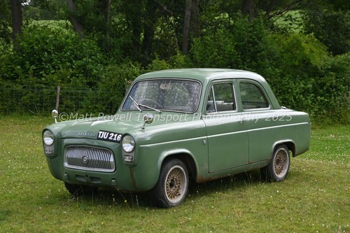Car photo 12x8 - photo,