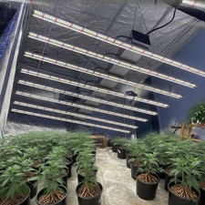 Spider 1000W FD9600 LED Grow Light 3456LEDs 3.1μmol/J Full Spectrum Growing Lamp