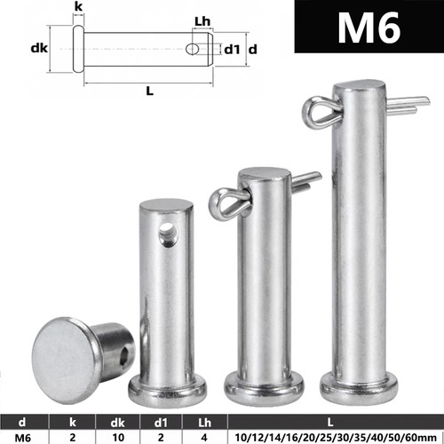 Clevis pin hinge - m6,