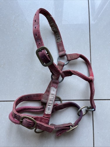 Monty roberts dually - monty,