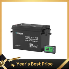 Renogy 300Ah 12V LiFePO4 Lithium Leisure Battery with 500A Battery Monitor
