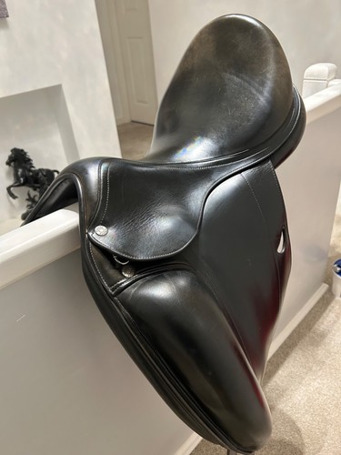 saddle