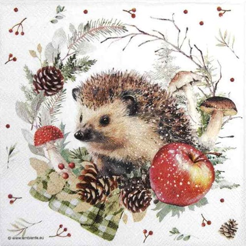 Single paper napkins for - paper,