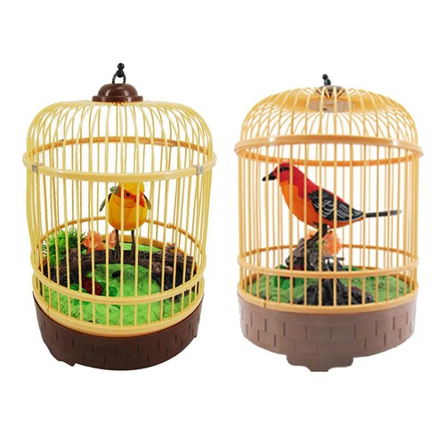 Singing bird birdcage - bird,