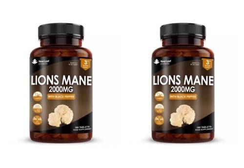 Lions mane extract - 2x, mushroom