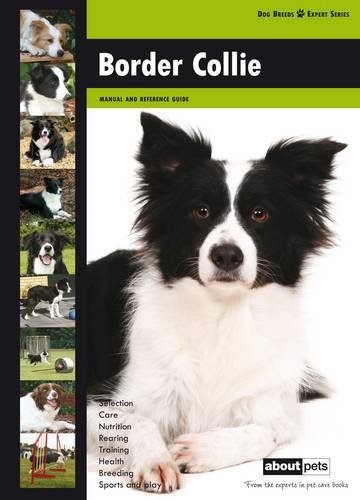 Border collie dog breed - collie:,