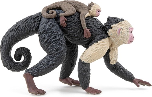 Papo capuchin - papo,