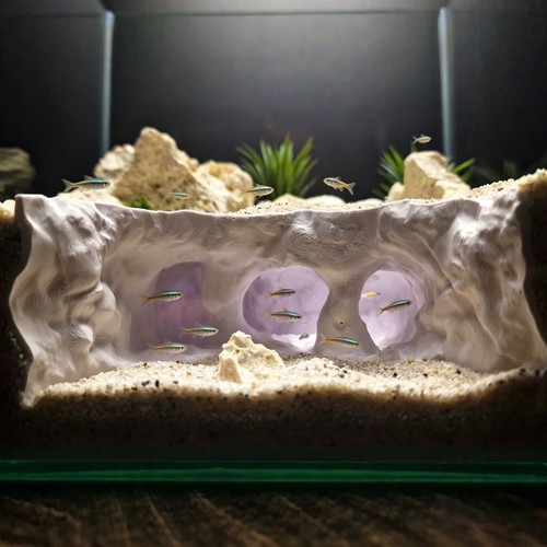 Aquarium fish tunnel - fish,