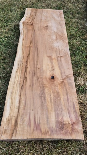 Planed spalted sycamore - planed,