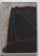 Govinder Nazran Cat "Bad Boy"