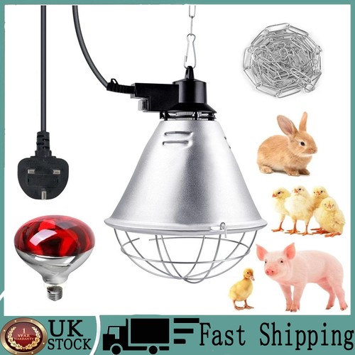 Infra red heat lamp 250w - 250w, bulb