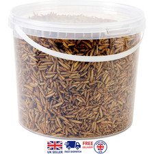 Hungry Wings 5 L Wild Bird