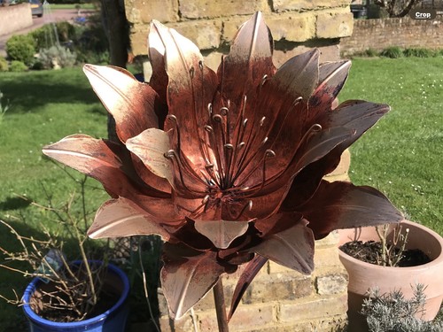 Lily flower garden ornament - garden,