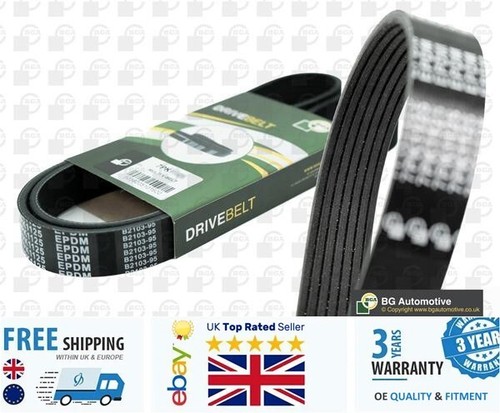 Ribbed belt for nissan - belt,