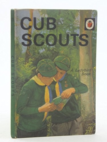 Cub scouts - (a, ladybird