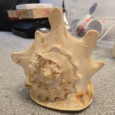 Large Real Vintage Queen