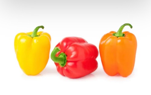 Sweet pepper plug - pepper,