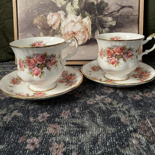 Paragon elizabeth rose tea - elizabeth,