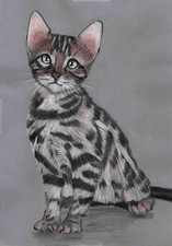 Original Coloured pencil