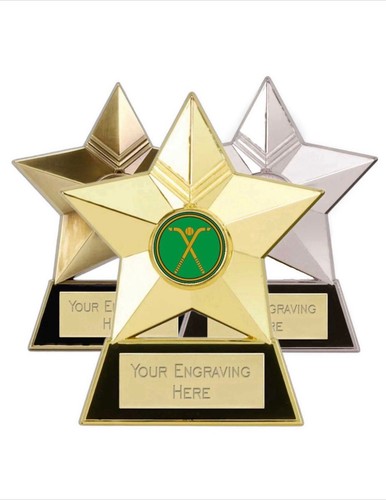 Shinty sticks star metal - sticks,