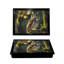 Owl Lap Tray Serving Soft
