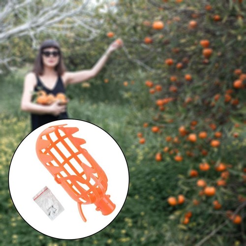 Fruit picker tool - fruit, high