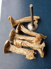 Rover P4 110, P5 3 Litre Mk