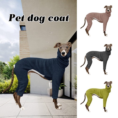 Pet dog high collar - dog,