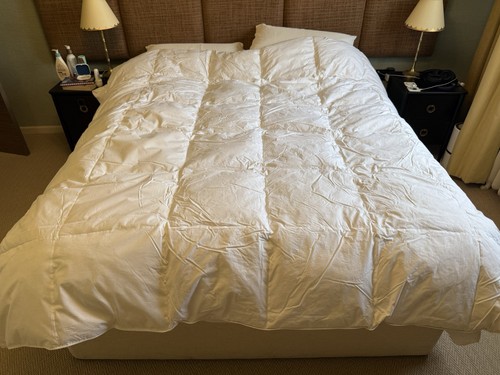 Bedeck belfast white goose - of,