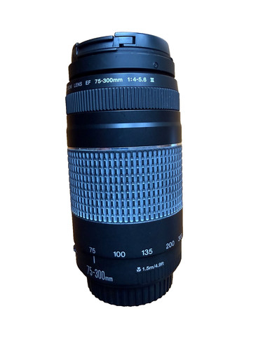 Canon 300mm 5 6 iii - canon, 75-300mm