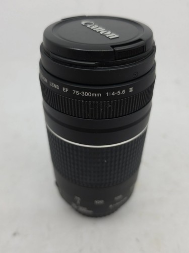 Canon zoom lens 300mm - canon,